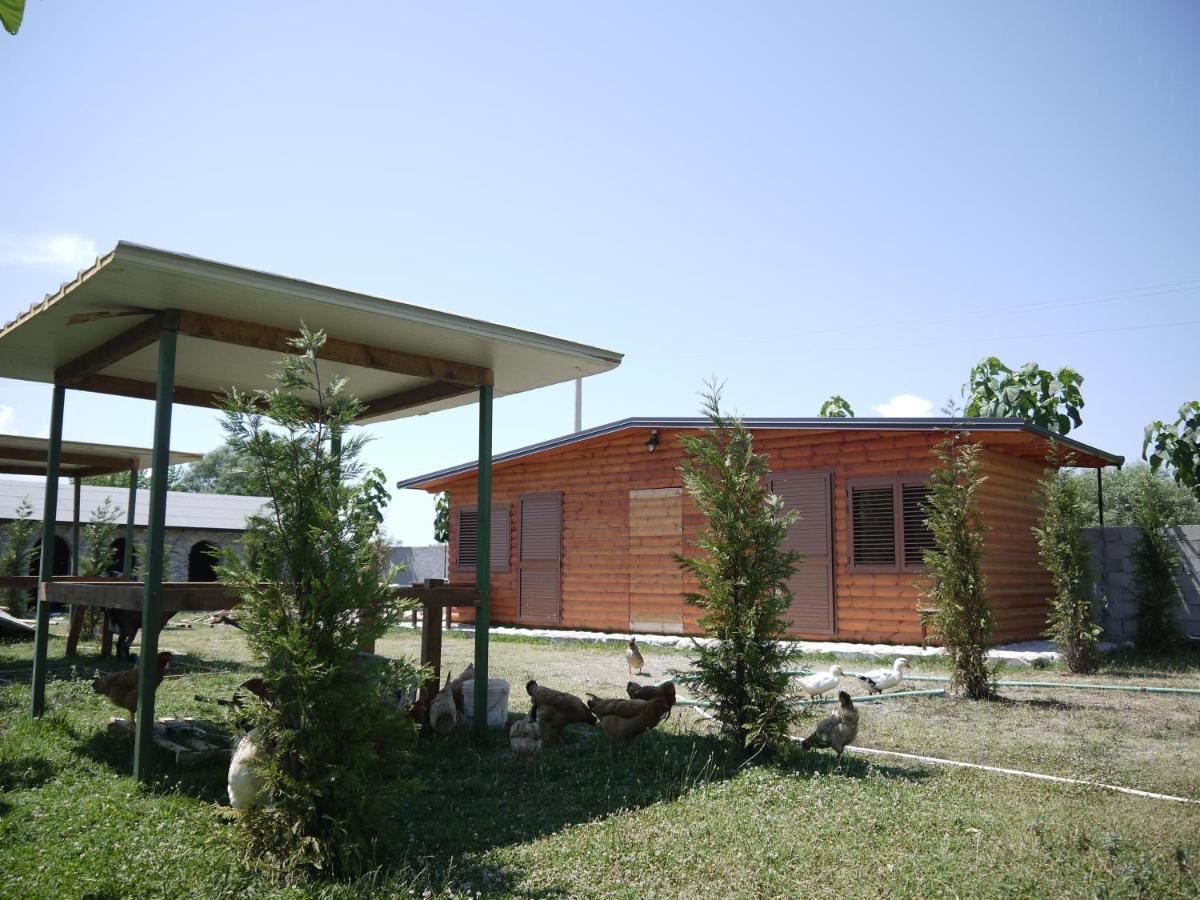 Windmill Shkodra Gesthouse Camping & Grill Exterior photo