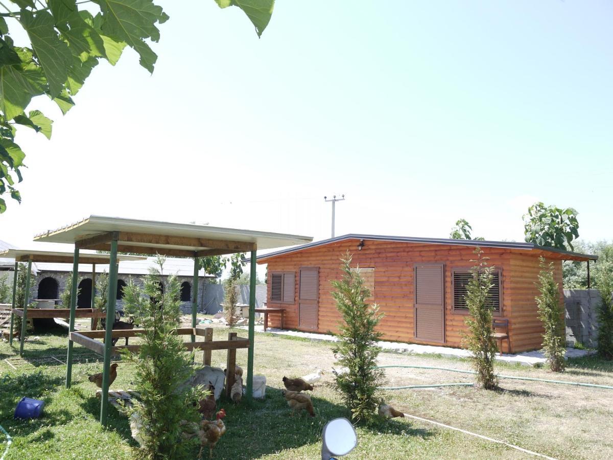 Windmill Shkodra Gesthouse Camping & Grill Exterior photo