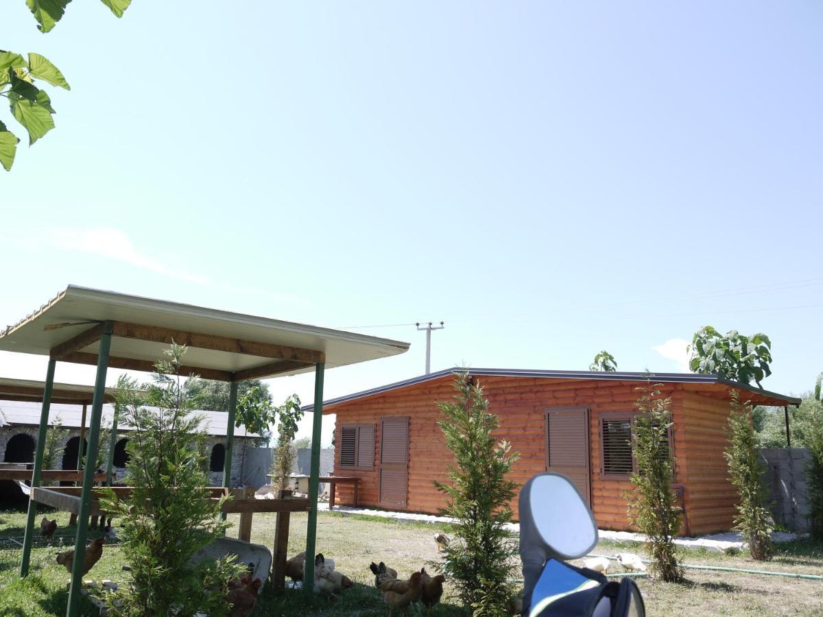 Windmill Shkodra Gesthouse Camping & Grill Exterior photo